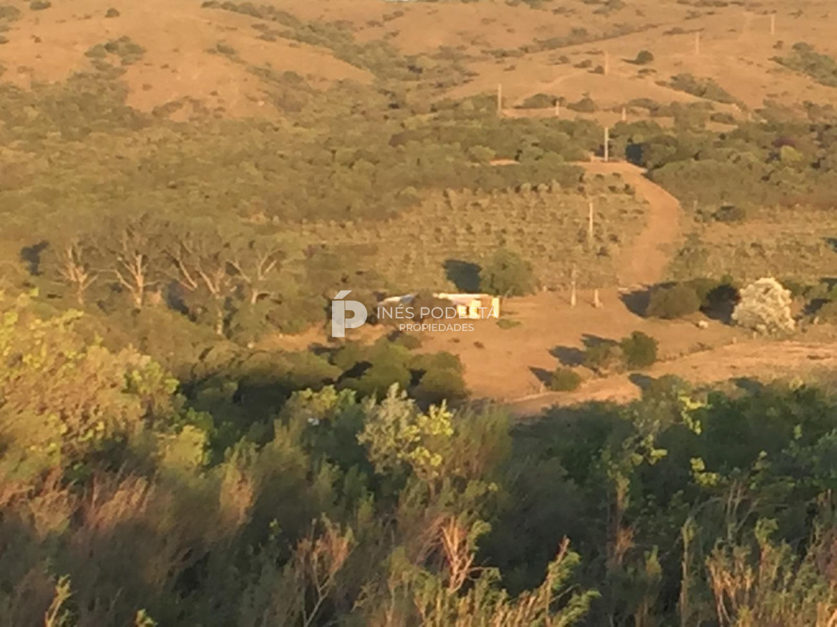 Campo Ref.41377 - Venta de 344 hc próximo a Sierra de Carapé