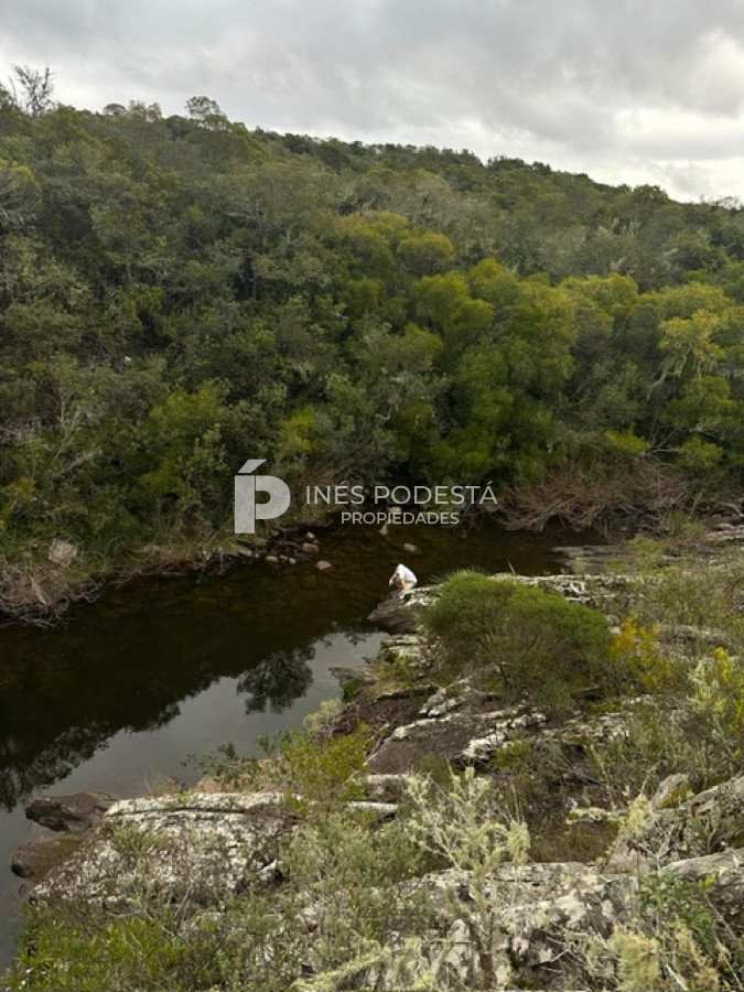 Campo Ref.41375 - Venta 44 hc con importante salto de agua  en Sierra de Carapé