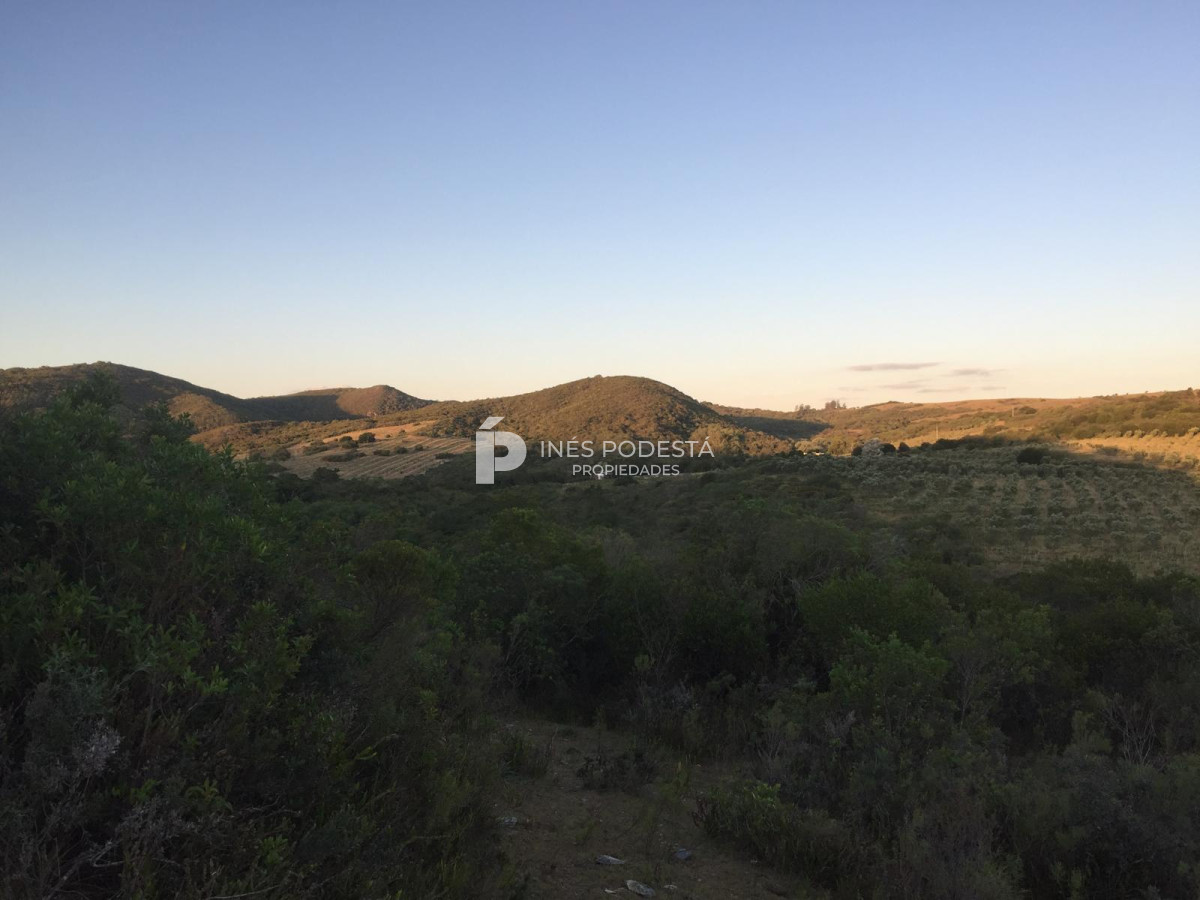 Campo Ref.41375 - Venta 44 hc con importante salto de agua  en Sierra de Carapé