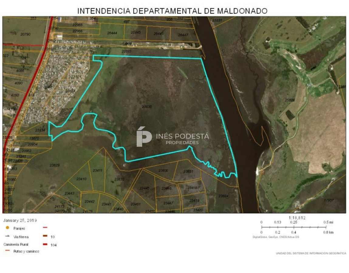 Venta campo en Maldonado para fraccionar - GoPunta - Portal Inmobiliario de Punta del Este - Maldonado
