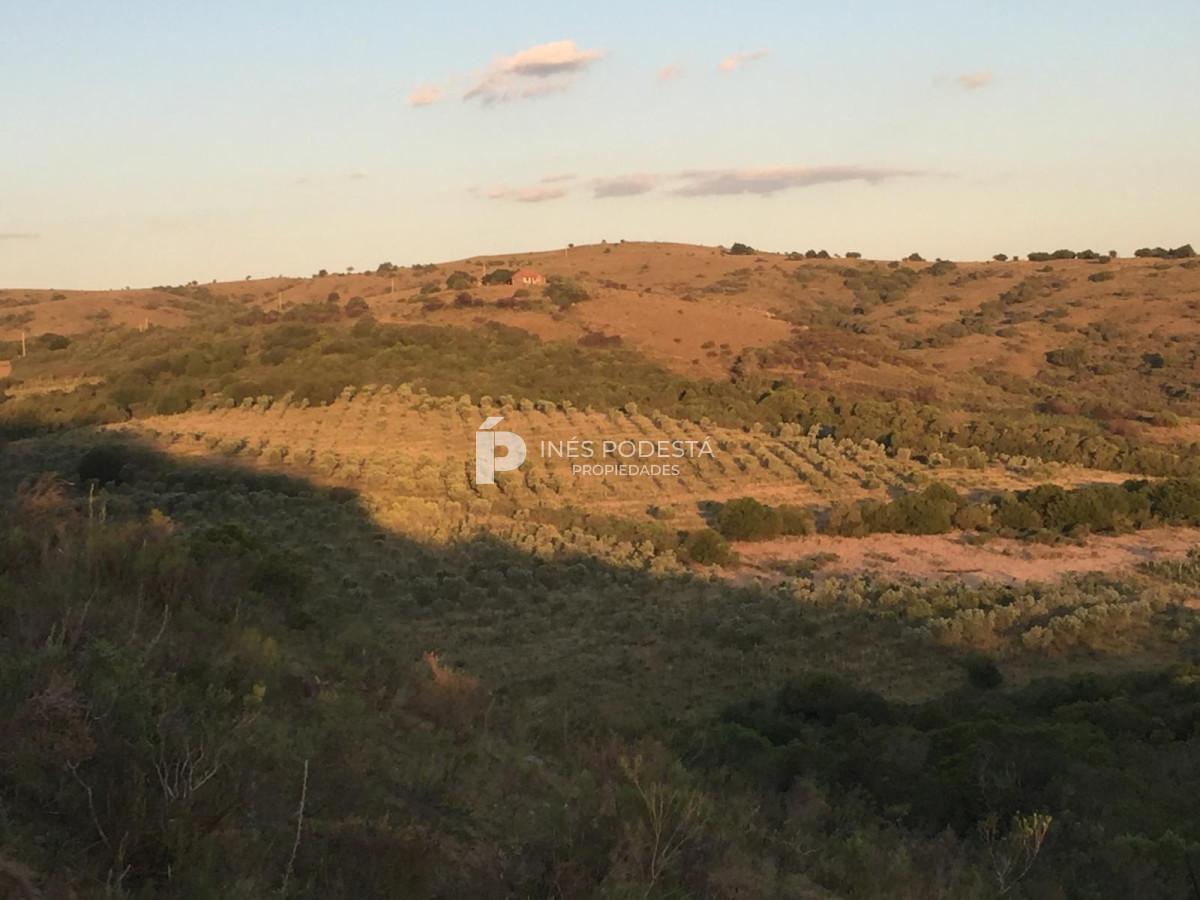 Venta 44 hc con importante salto de agua  en Sierra de Carapé - GoPunta - Portal Inmobiliario de Punta del Este - Maldonado