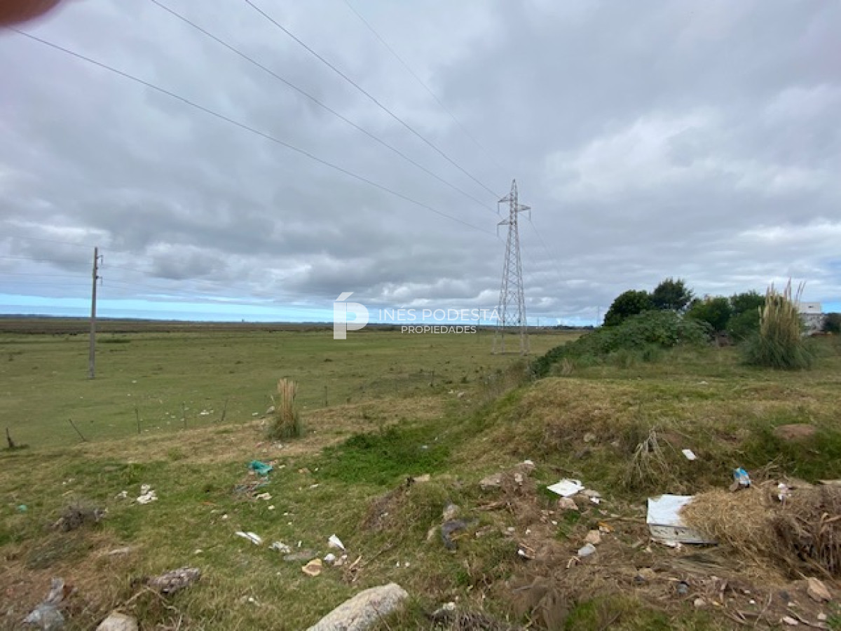 Venta campo en Maldonado para fraccionar - GoPunta - Portal Inmobiliario de Punta del Este - Maldonado