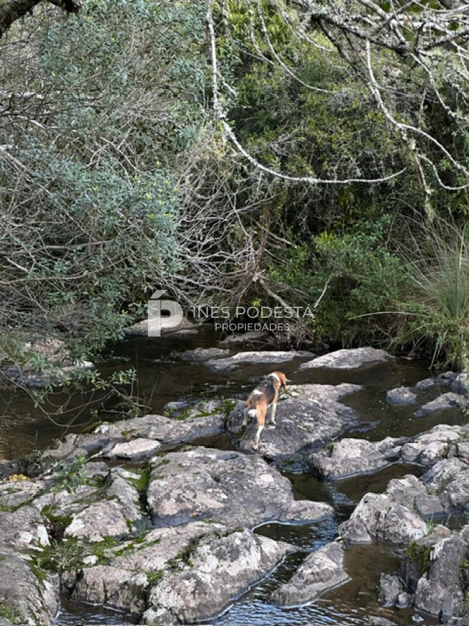Campo Ref.41375 - Venta 44 hc con importante salto de agua  en Sierra de Carapé