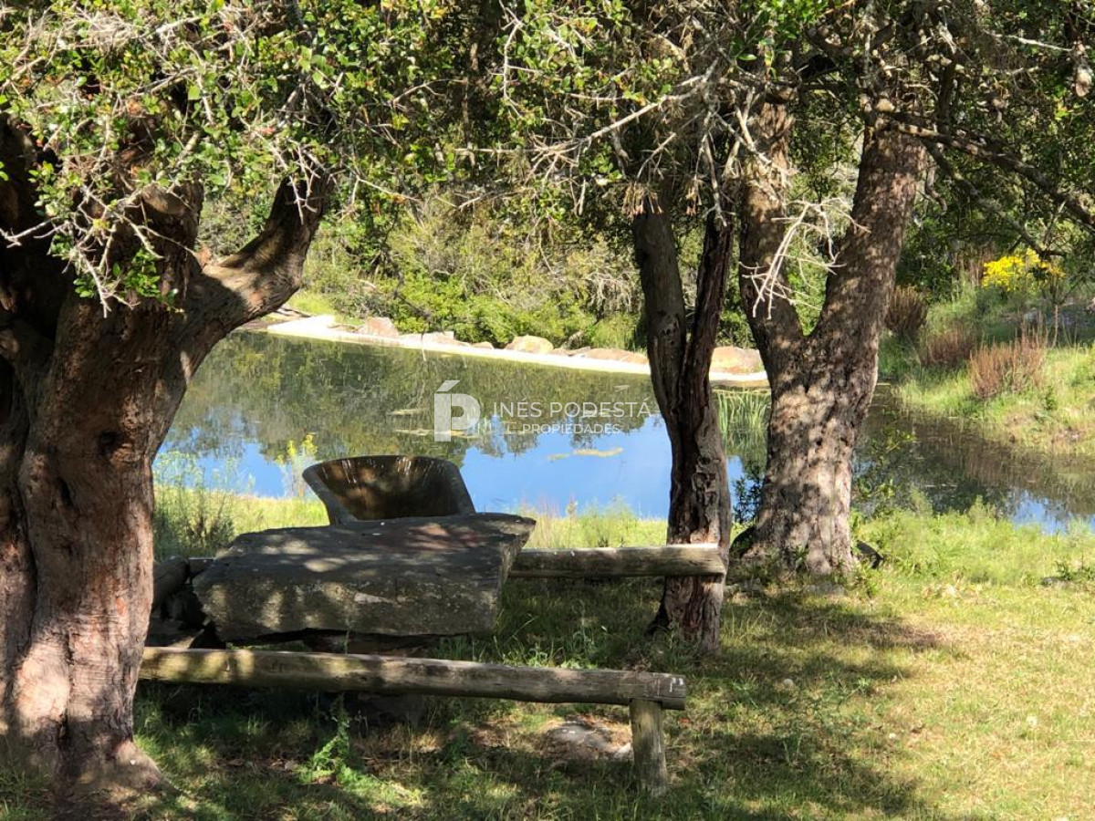 Venta de 340 hc próximo a Sierra de Carapé - GoPunta - Portal Inmobiliario de Punta del Este - Maldonado