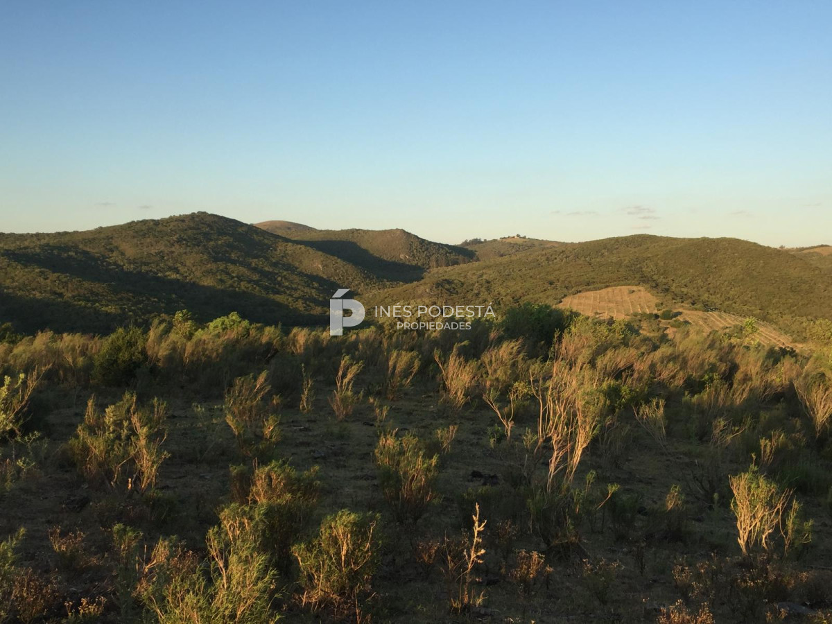 Campo Ref.41375 - Venta 44 hc con importante salto de agua  en Sierra de Carapé