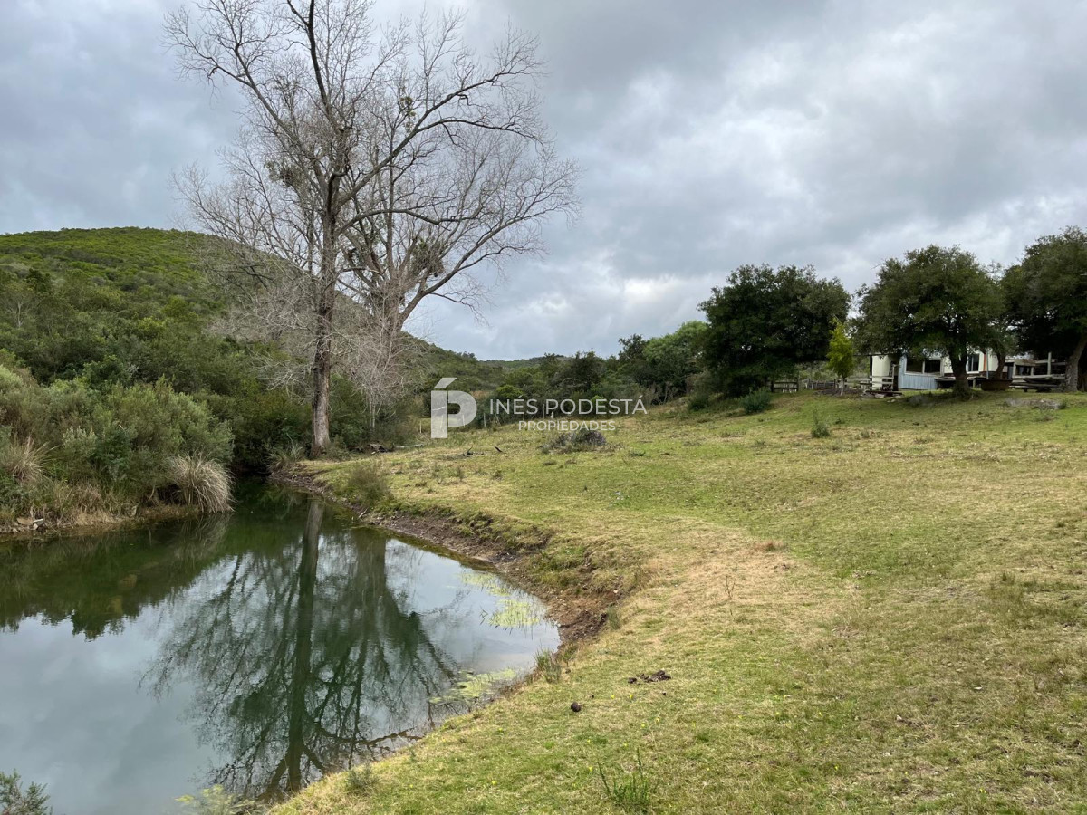 Campo Ref.41377 - Venta de 344 hc próximo a Sierra de Carapé