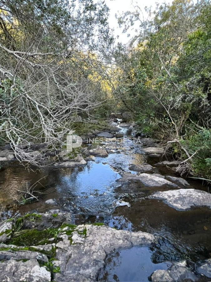 Campo Ref.41375 - Venta 44 hc con importante salto de agua  en Sierra de Carapé