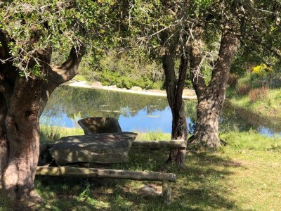 Venta de 340 hc próximo a Sierra de Carapé