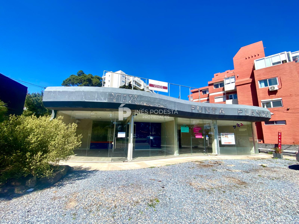 Aidy Grill - GoPunta - Portal Inmobiliario de Punta del Este - Maldonado