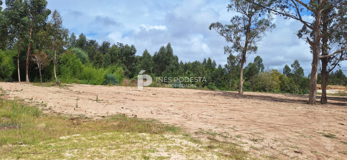 Lote en venta Rincón del Indio Punta del Este  - IPD41604T