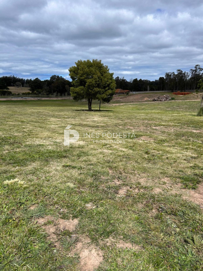LOTE EN CHACRA DEL GOLF-PUEBLO MIO  - IPD42165T