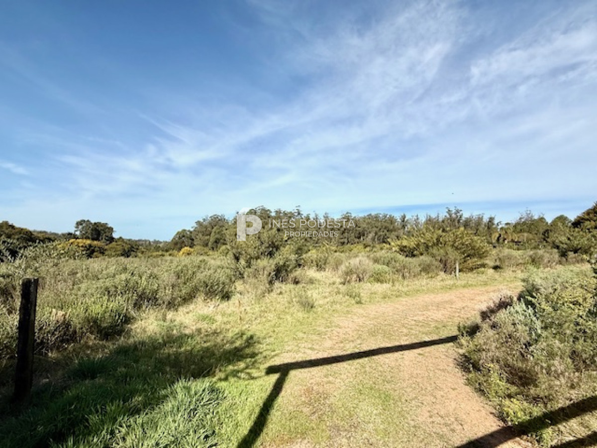 Ruta 104 - GoPunta - Portal Inmobiliario de Punta del Este - Maldonado