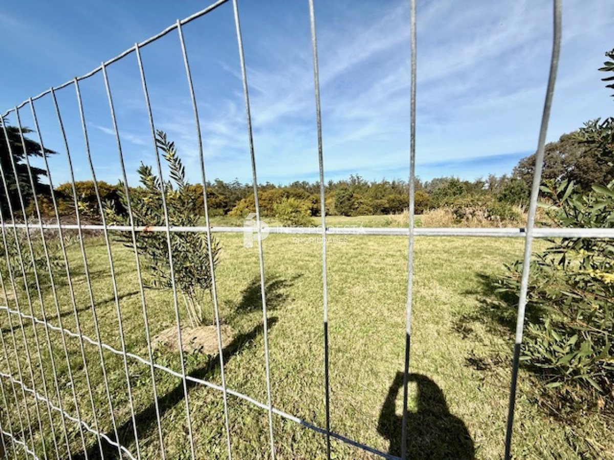 Ruta 104 - GoPunta - Portal Inmobiliario de Punta del Este - Maldonado
