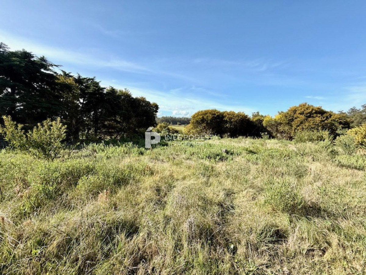 Ruta 104 - GoPunta - Portal Inmobiliario de Punta del Este - Maldonado