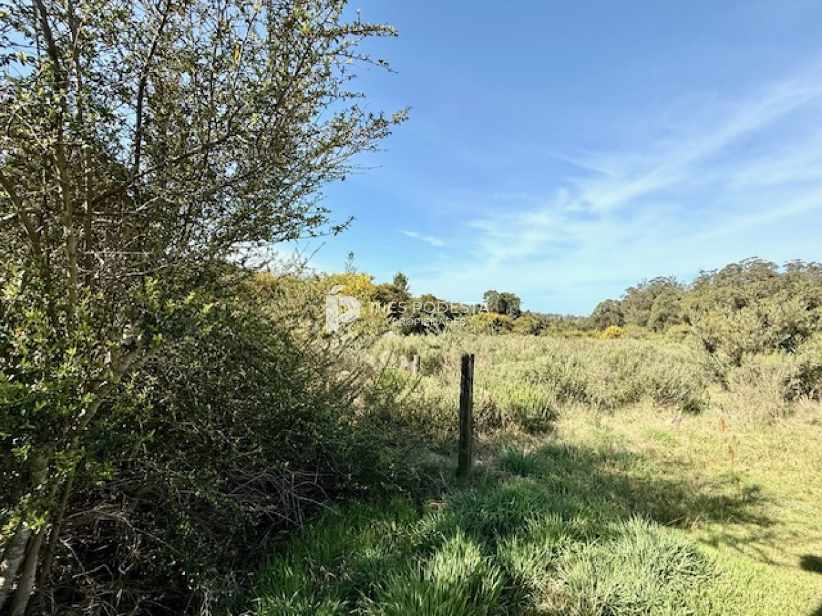 Ruta 104 - GoPunta - Portal Inmobiliario de Punta del Este - Maldonado