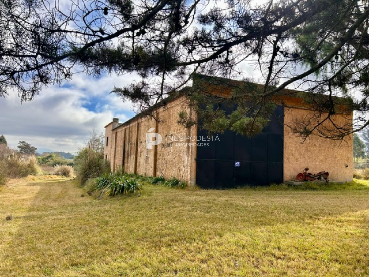 Terreno ID.41571 - Venta gran terreno con galpón 