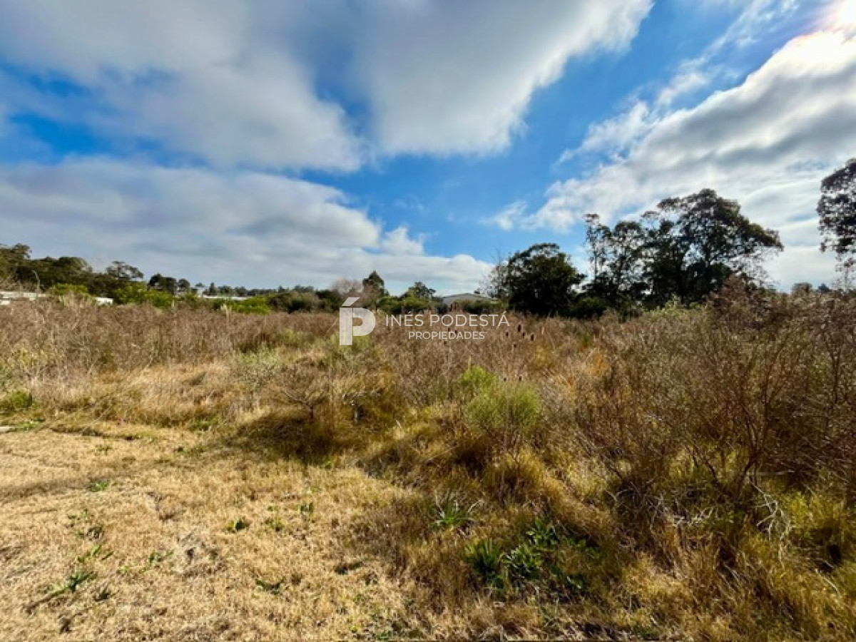 Terreno ID.41571 - Venta gran terreno con galpón 