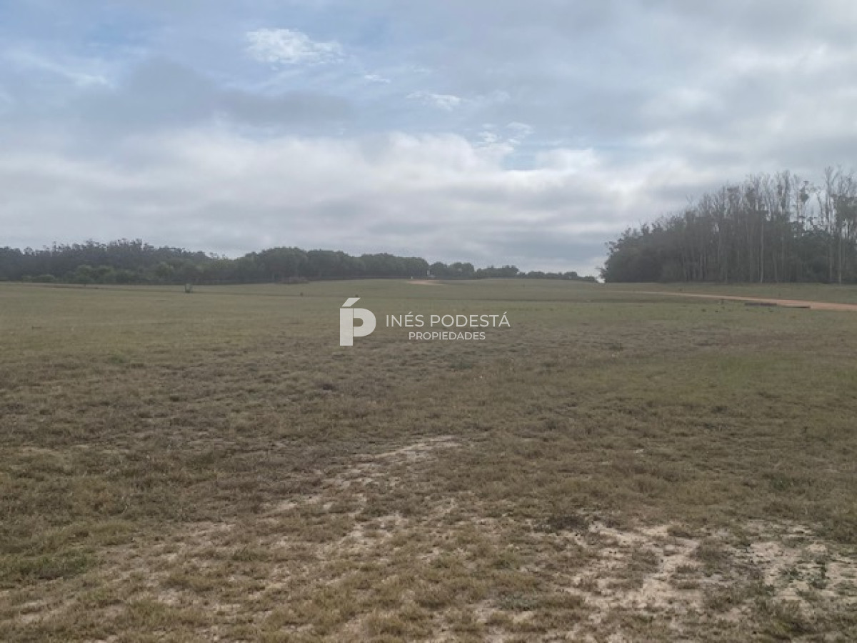 Terreno ID.38591 - LAS GARZAS, GRAN LOTE PRÓXIMO AL MAR