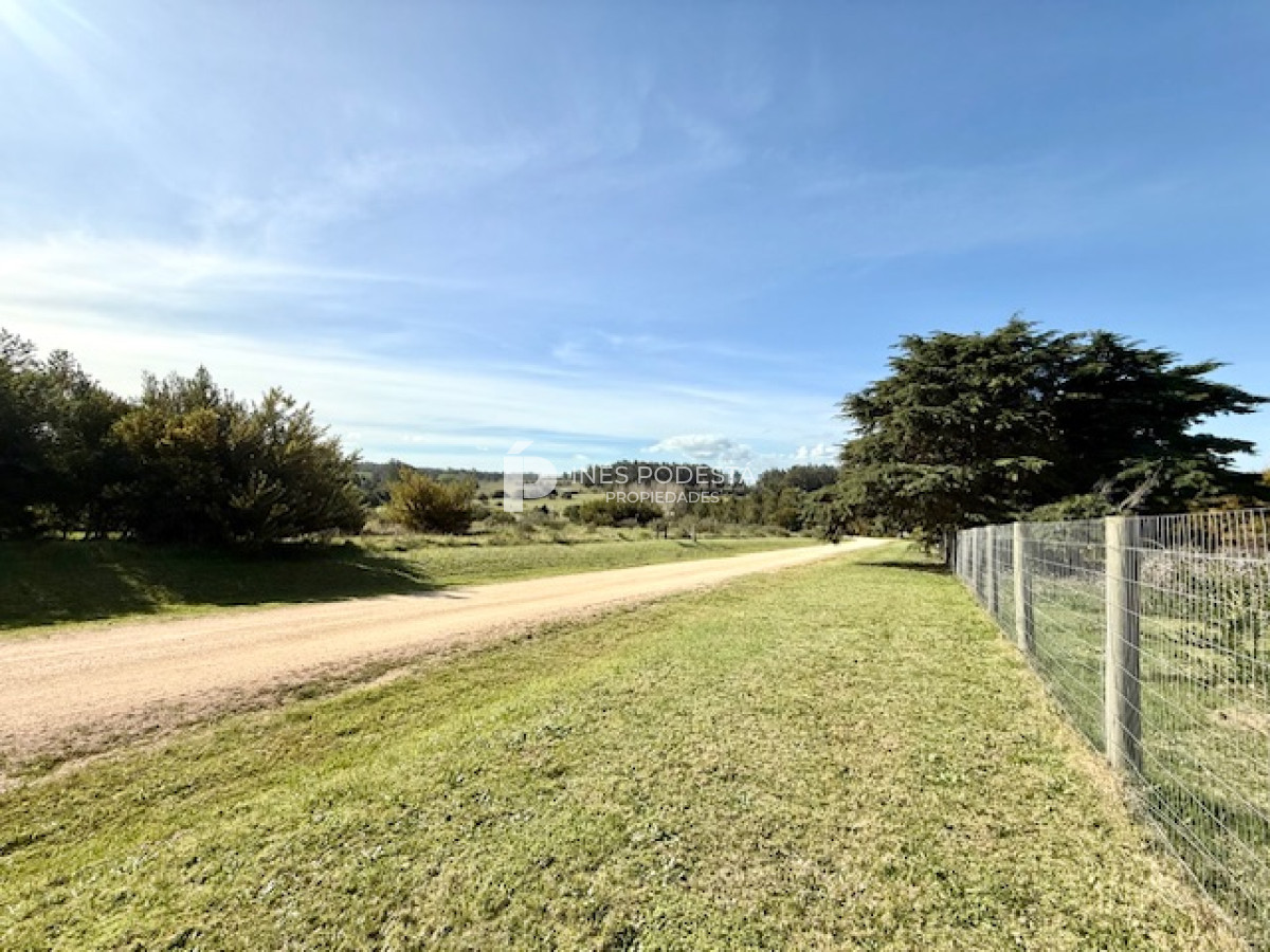 Ruta 104 - GoPunta - Portal Inmobiliario de Punta del Este - Maldonado