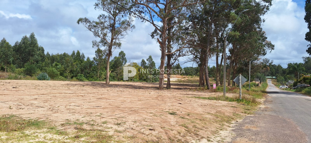 Rincón del Indio - GoPunta - Portal Inmobiliario de Punta del Este - Maldonado