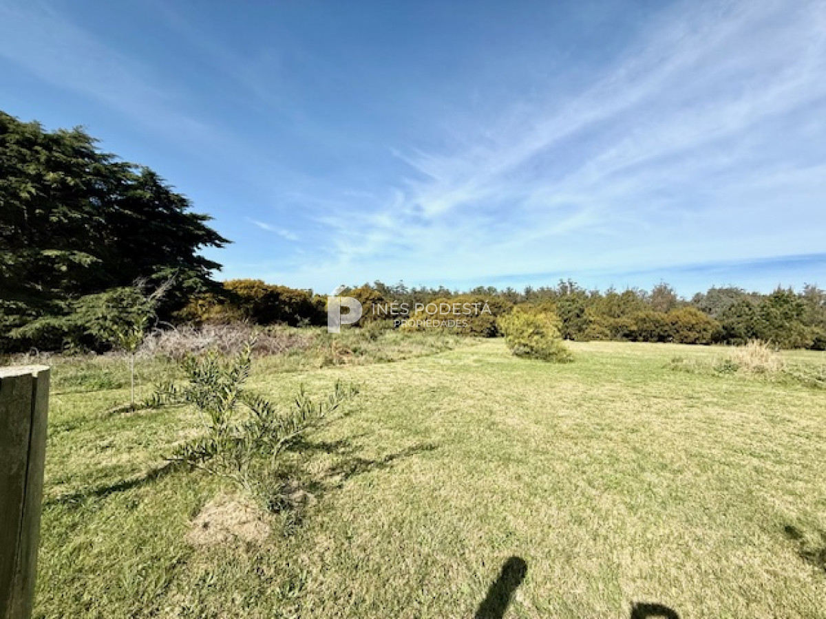 Ruta 104 - GoPunta - Portal Inmobiliario de Punta del Este - Maldonado