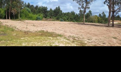 LOTE DE 4407