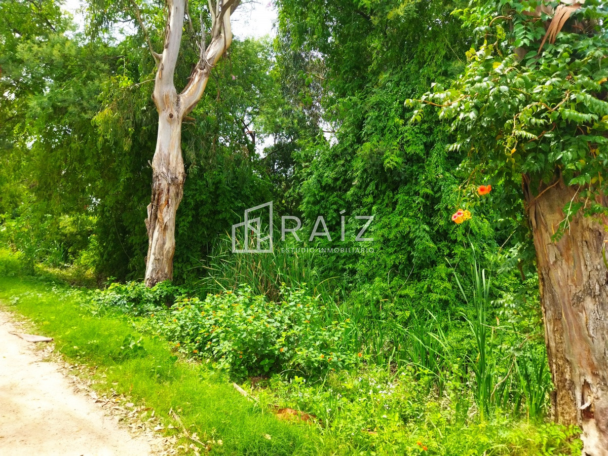 Terreno ID.11041 - terreno 