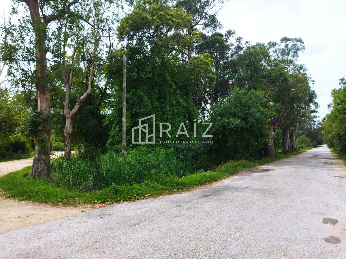 Terreno ID.11041 - terreno 