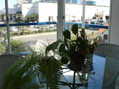 Apartamento en Punta del Este, Mansa - SHC302A
