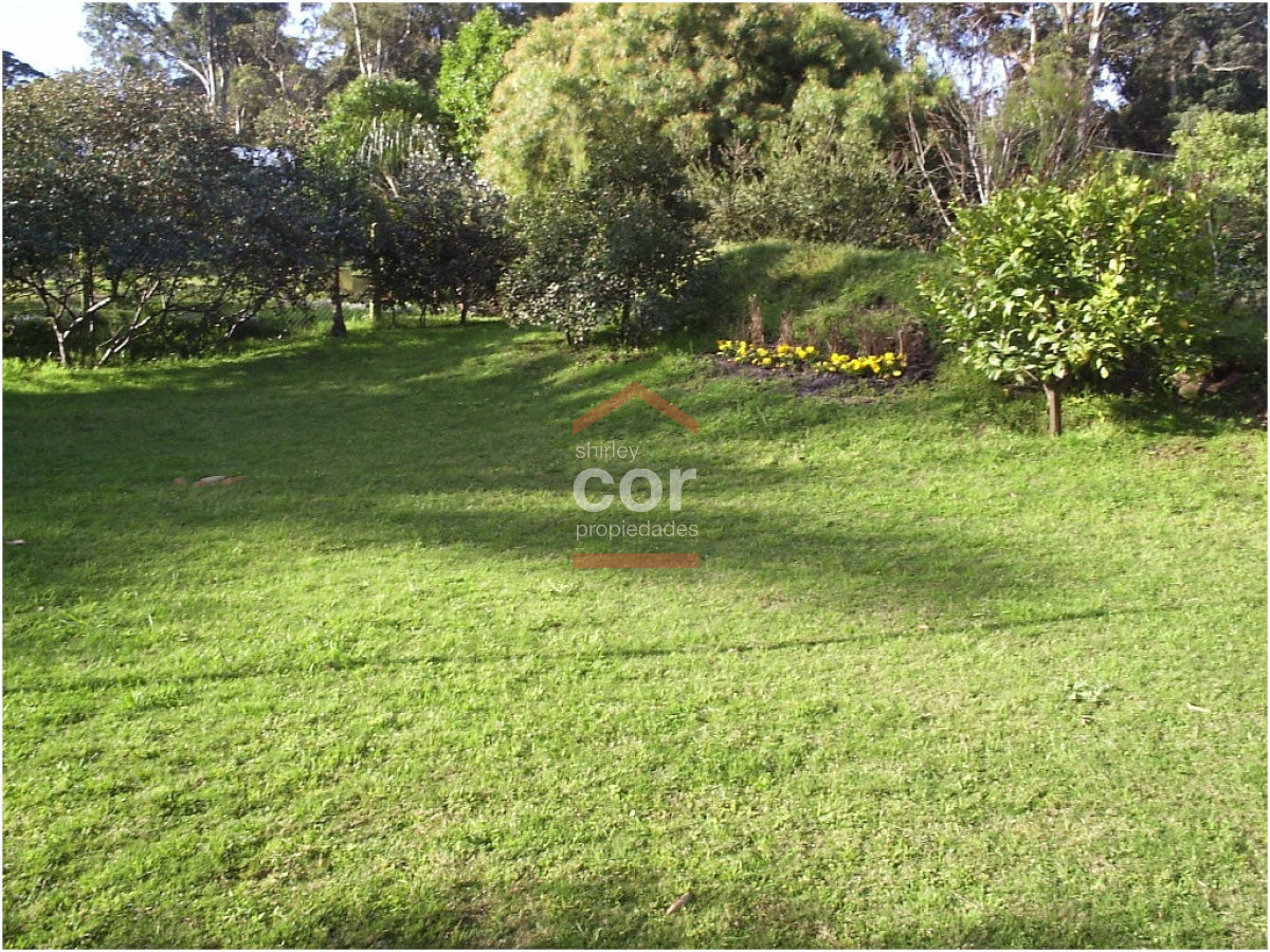 El Tesoro - GoPunta - Portal Inmobiliario de Punta del Este - Maldonado