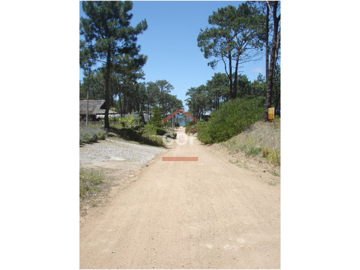 Montoya - GoPunta - Portal Inmobiliario de Punta del Este - Maldonado