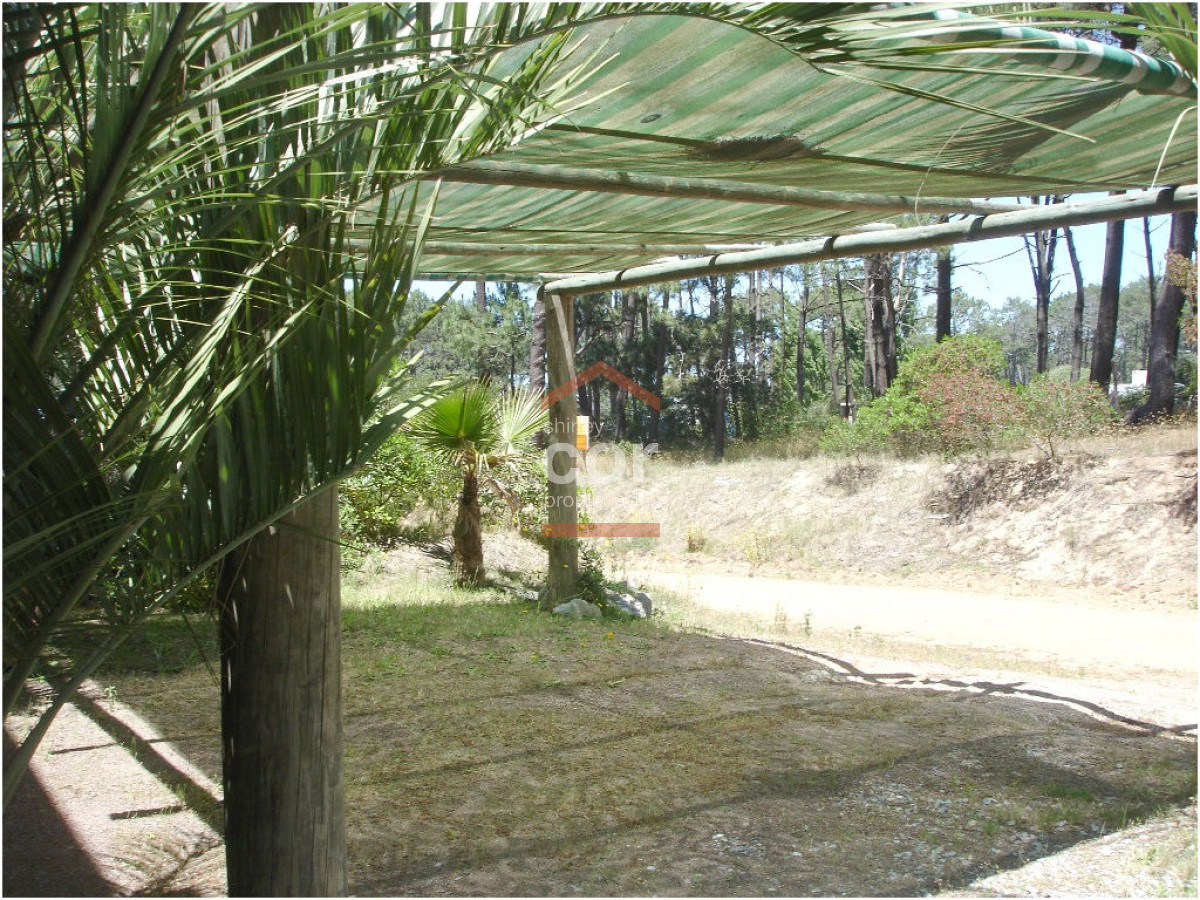 Montoya - GoPunta - Portal Inmobiliario de Punta del Este - Maldonado