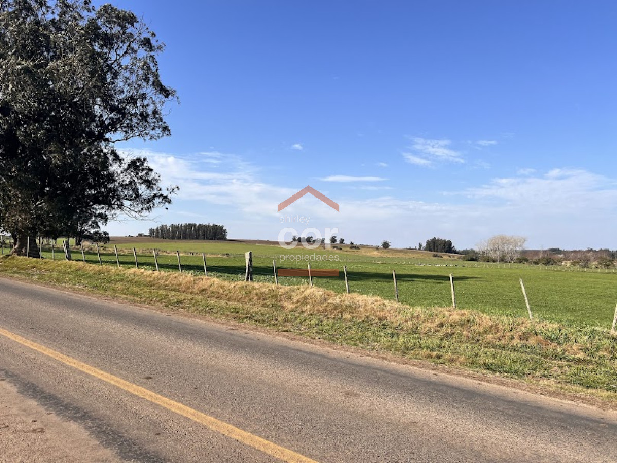 Manantiales - GoPunta - Portal Inmobiliario de Punta del Este - Maldonado