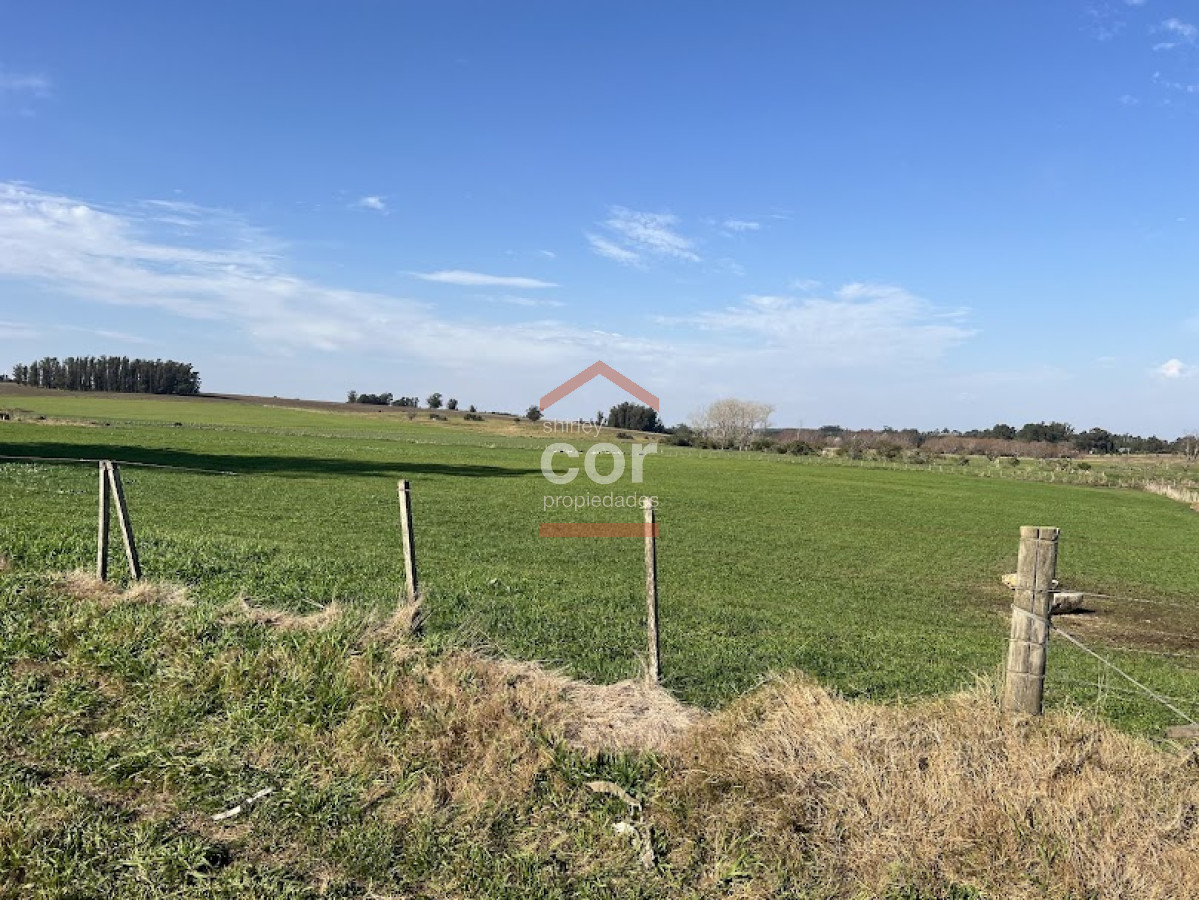Manantiales - GoPunta - Portal Inmobiliario de Punta del Este - Maldonado