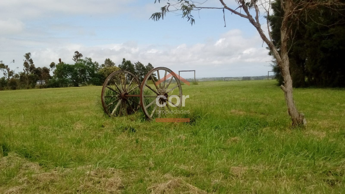 Ruta 104 - GoPunta - Portal Inmobiliario de Punta del Este - Maldonado