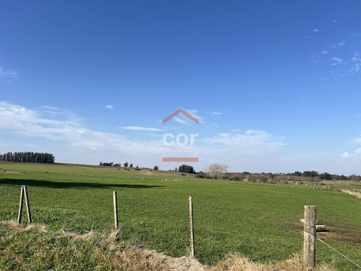 Manantiales - GoPunta - Portal Inmobiliario de Punta del Este - Maldonado