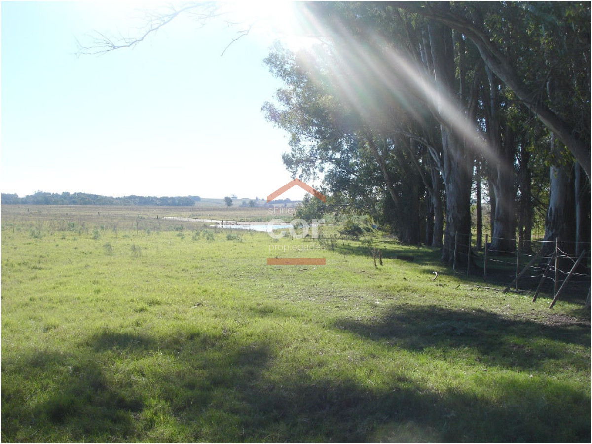 Chacra turistica - GoPunta - Portal Inmobiliario de Punta del Este - Maldonado