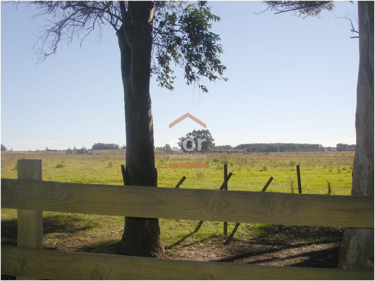 Chacra turistica - GoPunta - Portal Inmobiliario de Punta del Este - Maldonado