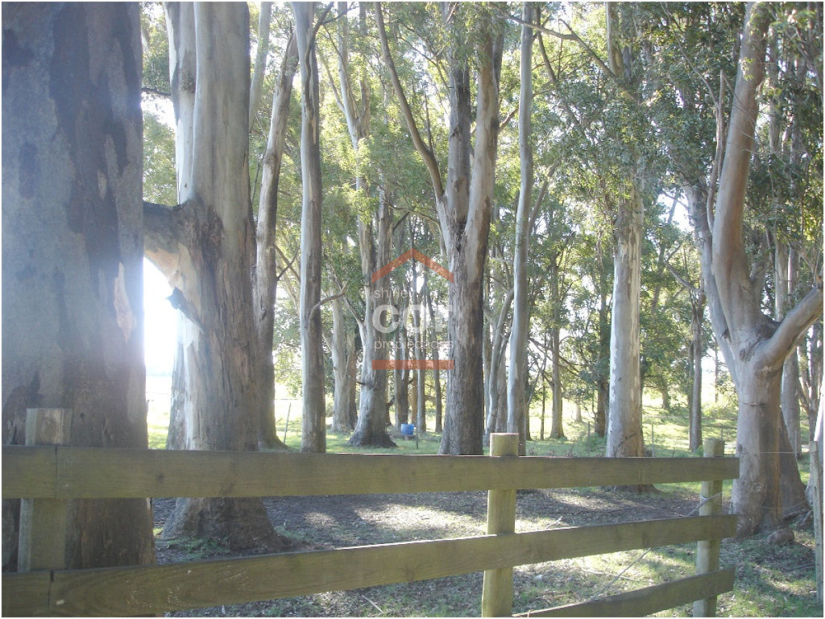 Chacra turistica - GoPunta - Portal Inmobiliario de Punta del Este - Maldonado