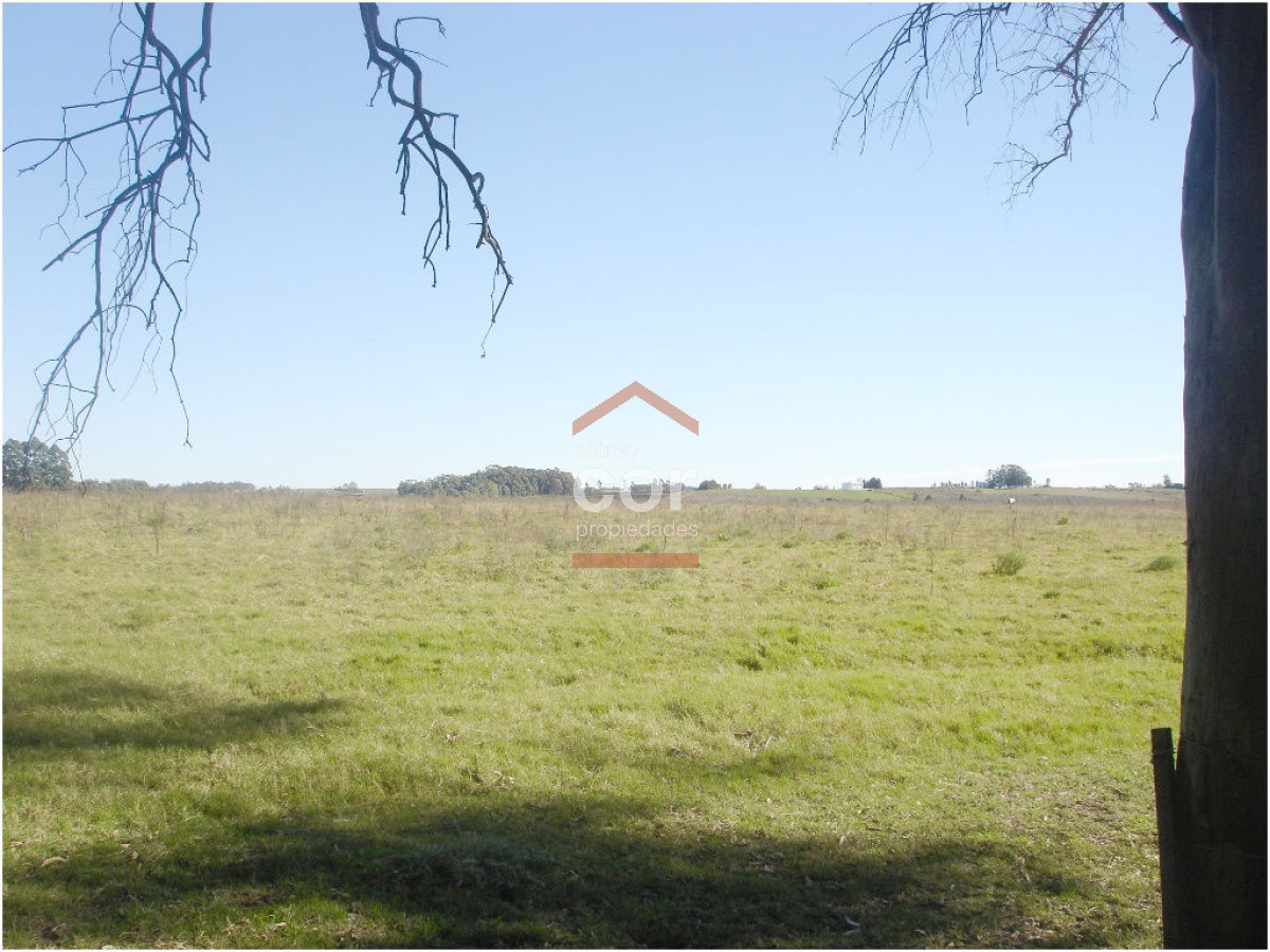Chacra turistica - GoPunta - Portal Inmobiliario de Punta del Este - Maldonado