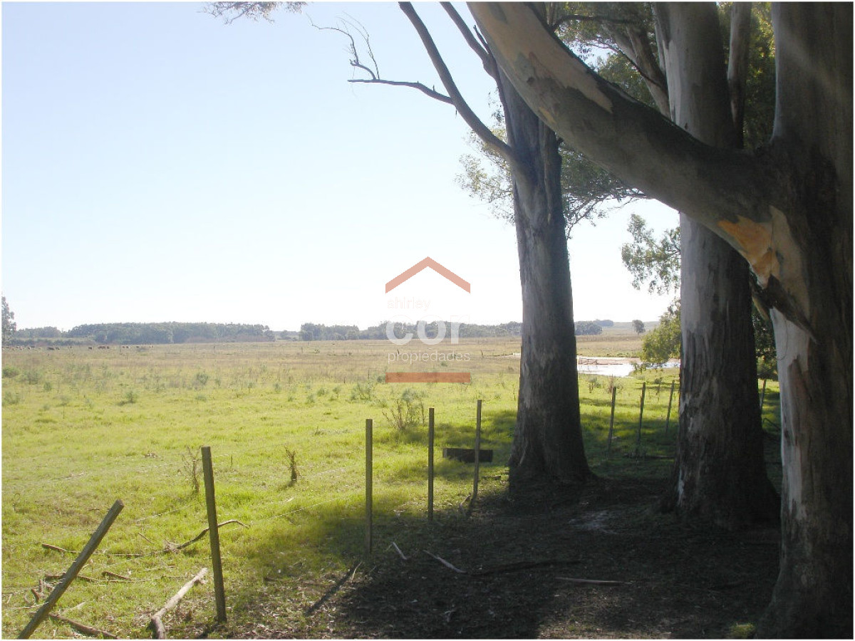 Chacra turistica - GoPunta - Portal Inmobiliario de Punta del Este - Maldonado