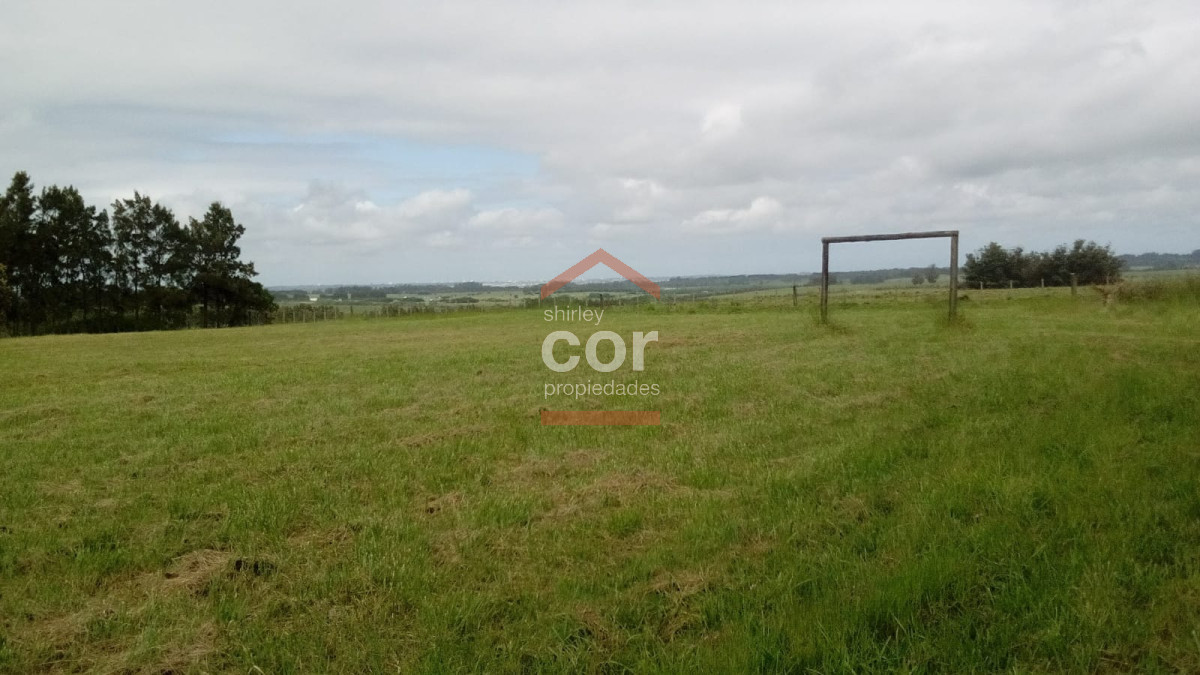 Ruta 104 - GoPunta - Portal Inmobiliario de Punta del Este - Maldonado