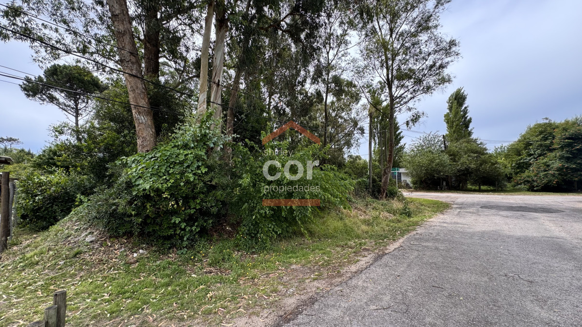 El Tesoro - GoPunta - Portal Inmobiliario de Punta del Este - Maldonado