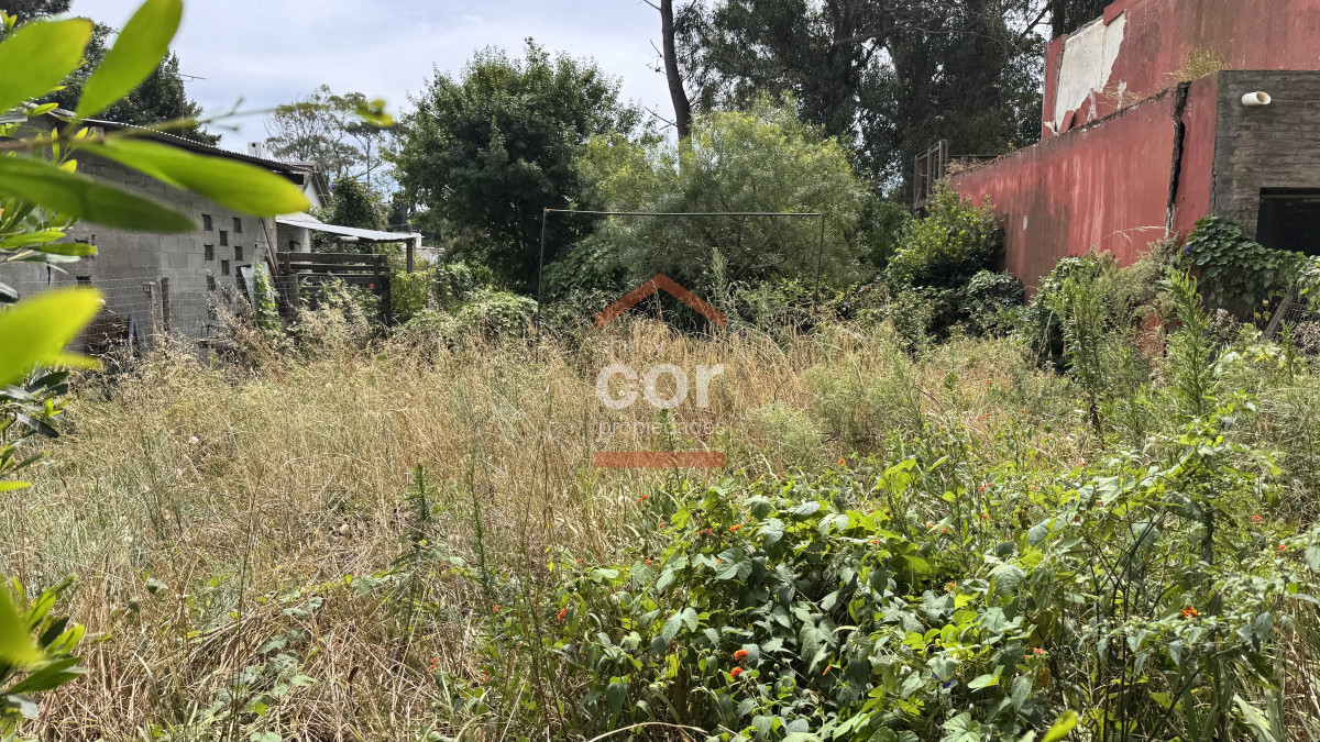 El Tesoro - GoPunta - Portal Inmobiliario de Punta del Este - Maldonado