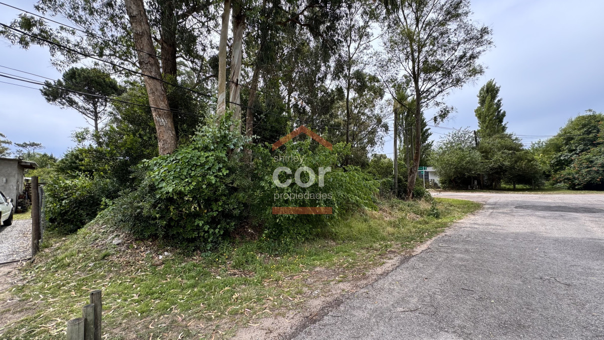 El Tesoro - GoPunta - Portal Inmobiliario de Punta del Este - Maldonado
