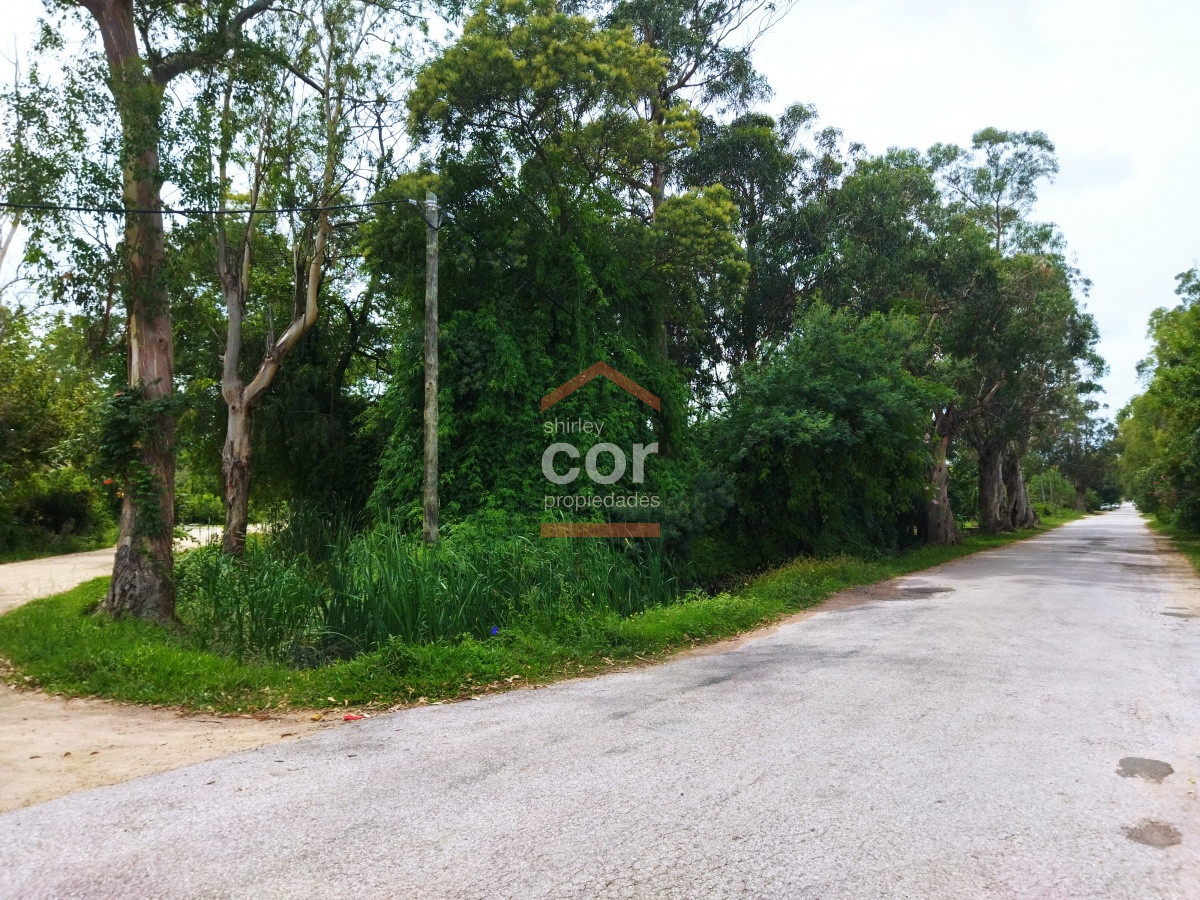 El Tesoro - GoPunta - Portal Inmobiliario de Punta del Este - Maldonado