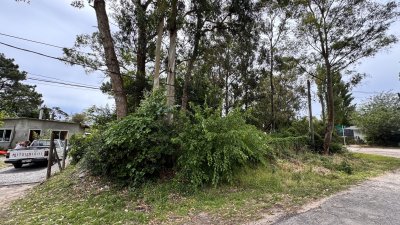Terreno en La Barra, El Tesoro
