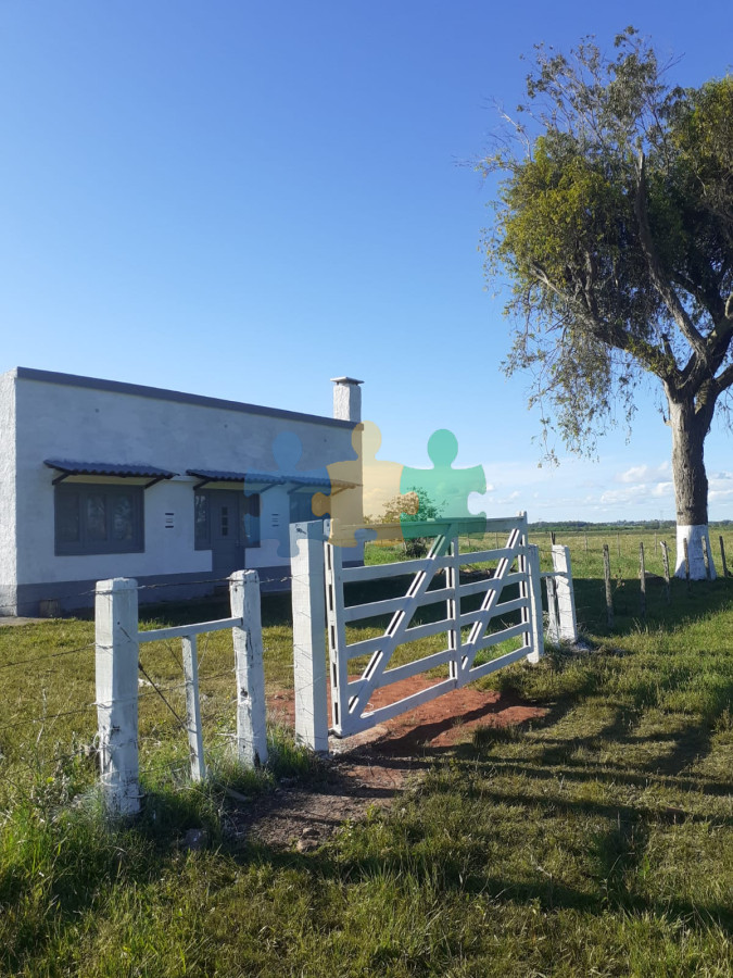 Campo Ref.783 - Campo de 245 has en Cerro Largo cercan de ciudad de Melo