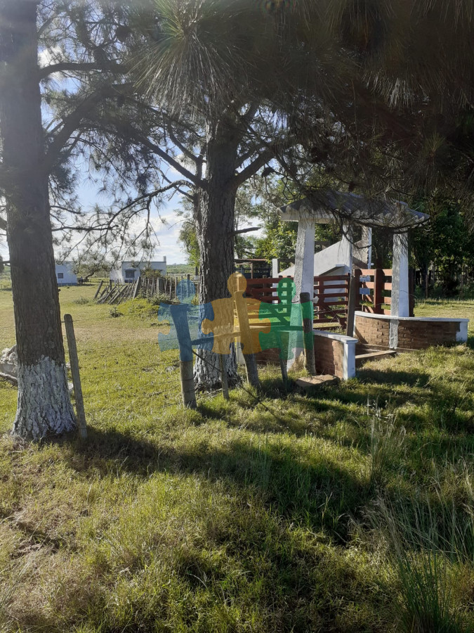 Campo Ref.783 - Campo de 245 has en Cerro Largo cercan de ciudad de Melo