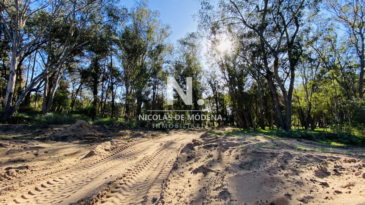La Reserva - GoPunta - Portal Inmobiliario de Punta del Este - Maldonado